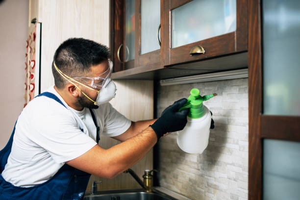 Best Pest Removal Services  in Mount Sinai, NY