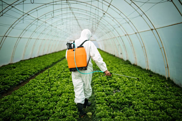 Pest Control Cost in Mount Sinai, NY