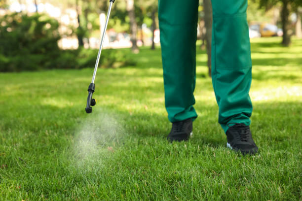 Best Local Pest Control Services  in Mount Sinai, NY
